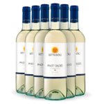 Kit Settesoli Pinot Grigio Sicília Vinhos Italianos Cantine Settesoli -6 Garrafas
