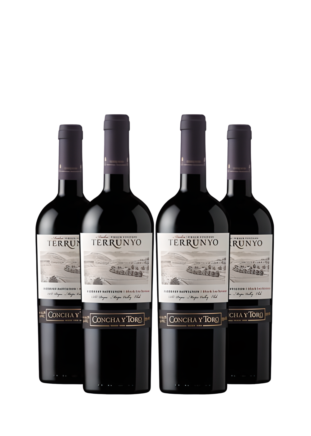 Kit Terrunyo Cabernet Sauvignon Degustação Vertical