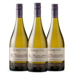 Kit Terrunyo Sauvignon Blanc Vinhos do Chile Região Valle de Casablanca Vinícola Concha y Toro