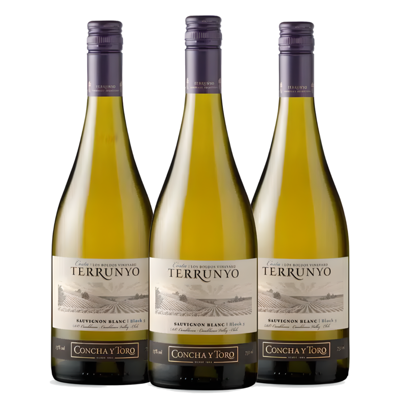 Kit Terrunyo Sauvignon Blanc Vinhos do Chile Região Valle de Casablanca Vinícola Concha y Toro