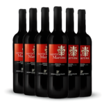 Kit Vinho Italiano Santa Martina 2011 Toscana Compre 5 Leve 6 Safra Exclusiva Adega Bartolomeu