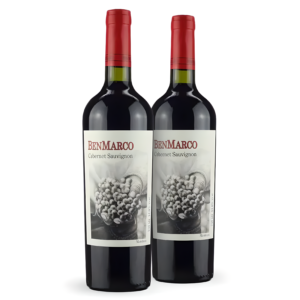 Kit com 2 Vinhos Argentino BenMarco Cabernet Sauvignon Susana Balbo Mendoza 2015 (Vinho da Argentina 96 Pontos, 11 meses em barricas de carvalho francês)