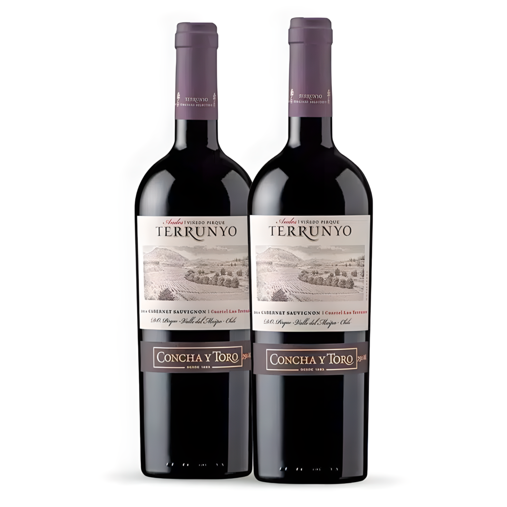 Pack-com-2-Vinhos-Chilenos-Terrunyo-Cabernet-Sauvignon-Valle-del-Maipo-1_4x