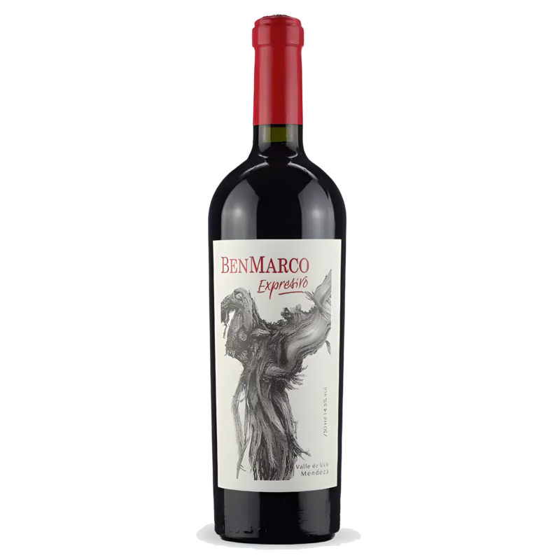 Susana Balbo BenMarco Expresivo Malbec Mendoza 2017 96 Pts