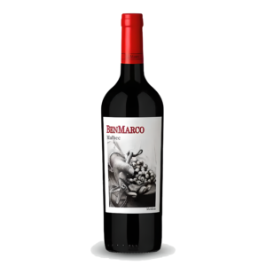 Vinho Tinto BenMarco Expresivo Malbec Susana Balbo Mendoza 2019