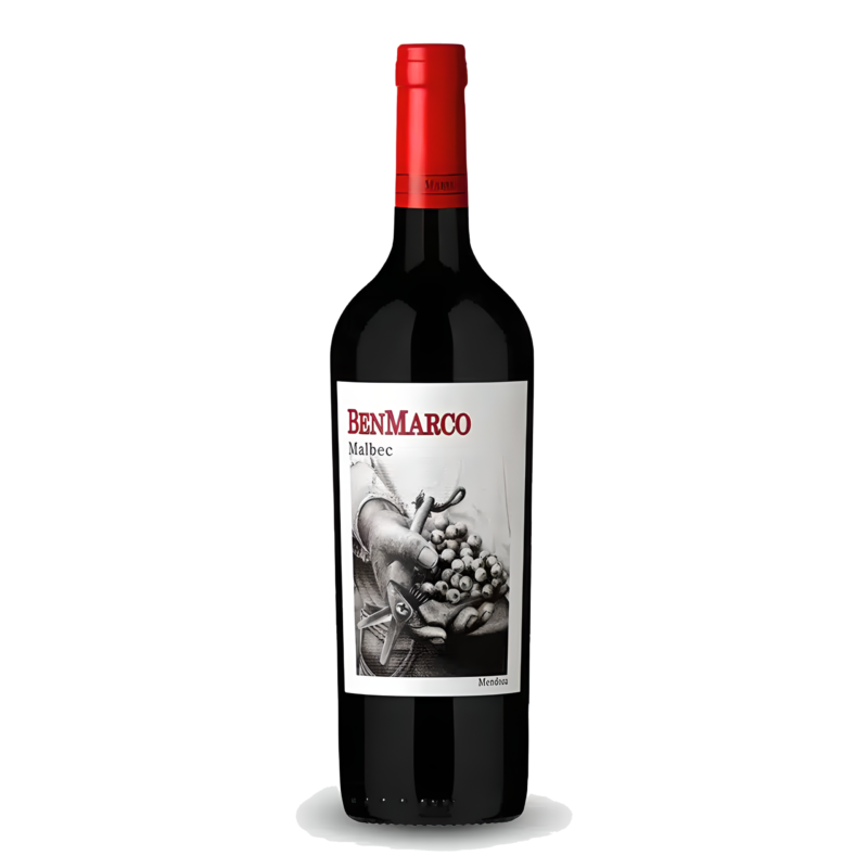 Vinho Tinto BenMarco Expresivo Malbec Susana Balbo Mendoza 2019