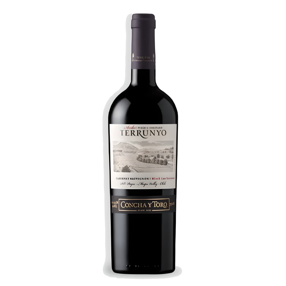 Vinho Tinto Terrunyo Cabernet Sauvignon Concha y Toro Valle del Maipo 2016 / 2017 95 pontos