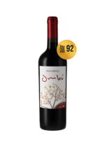 Vinho Tinto Braccobosca Ombu Tannat 2019