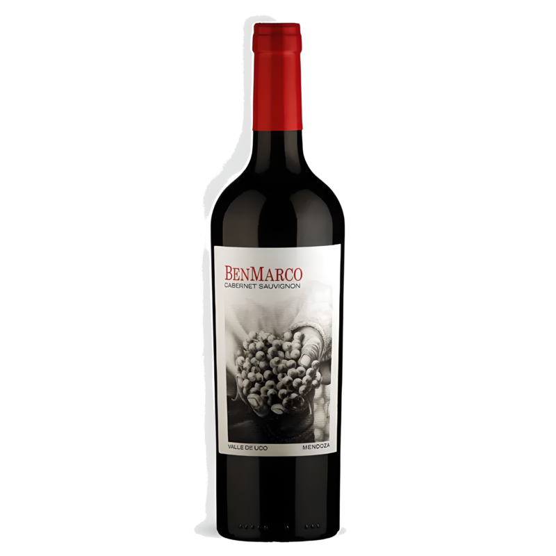 Vinho Tinto BenMarco Cabernet Sauvignon Susana Balbo Mendoza 2015 93 Pontos