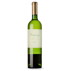Vinho Branco Uruguai Mataojo Albariño Fresco