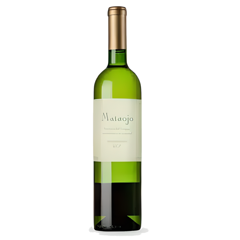 Vinho Branco Uruguai Mataojo Albariño Fresco