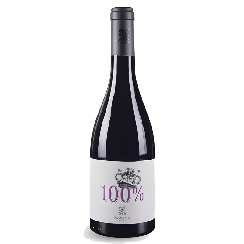 Vinho Tinto Xavier 100% Rouge Côtes du Rhône