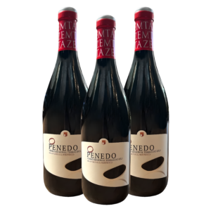 KIT Vinho Português O Penedo 2016 Dão 750ml Leve 3, Pague 2