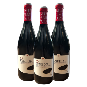 KIT Vinho Português O Penedo 2016 Dão 750ml Leve 3, Pague 2