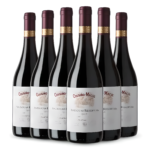 Kit Vinho Cousiño Macul Antiguas Reservas Syrah 2012 Valle del Maipo- 6 Garrafas