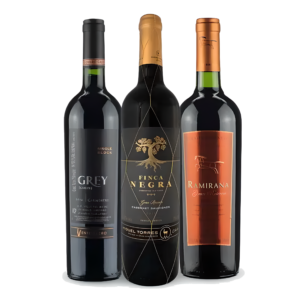 Vinhos Carmenére do Chile Seleção de Vinhos Pontuados