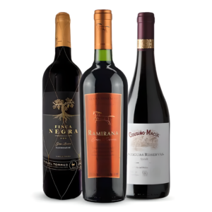 Vinhos Chilenos - Tintos Renomados e Premiados Super Oferta Bartolomeu
