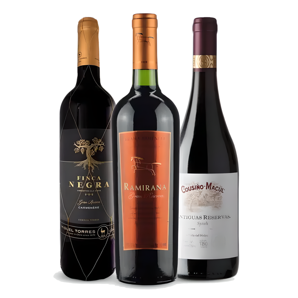 Vinhos Chilenos - Tintos Renomados e Premiados Super Oferta Bartolomeu