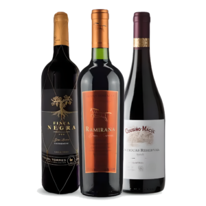 Vinhos Chilenos - Tintos Renomados e Premiados Super Oferta Bartolomeu